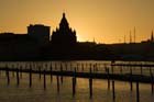 helsinki_sil_10